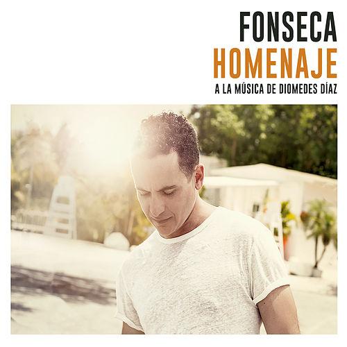 fonseca-homenaje-musica-diomedes